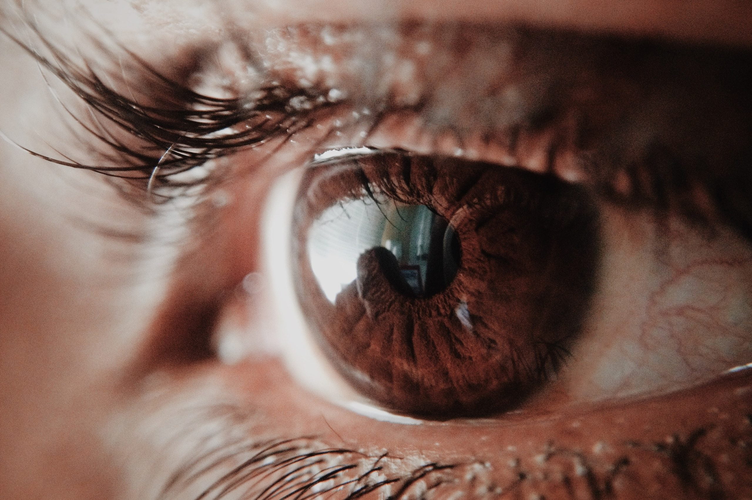 Close-up of an eye.