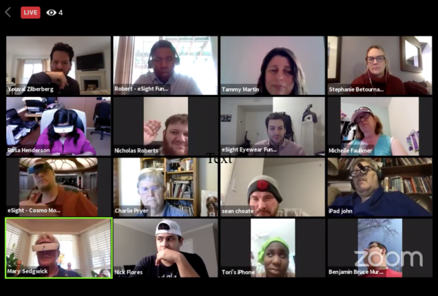 eSightTogether zoom webinar