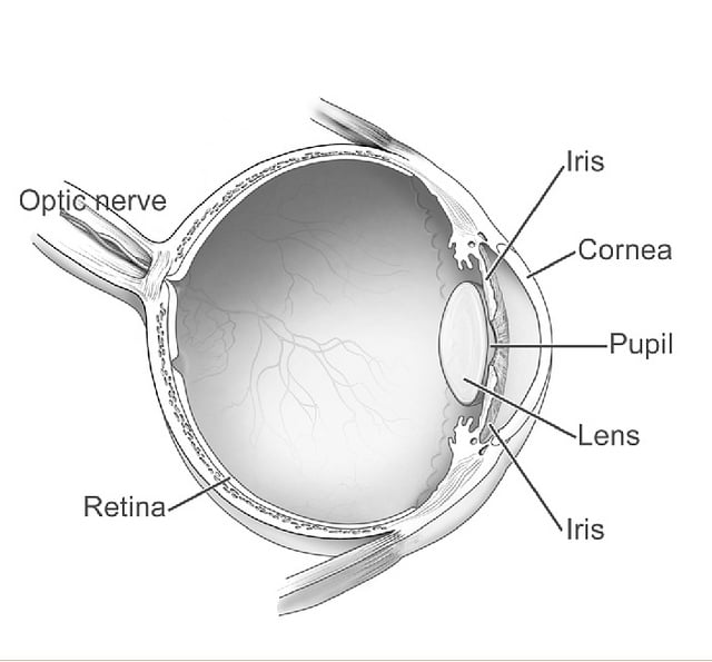 Eye diagram