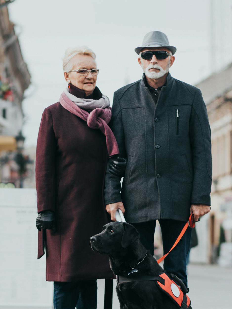 elderly couple walking in the city with a support animal