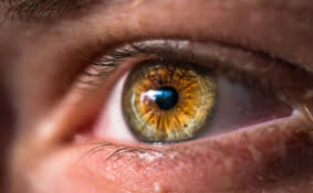 A close up image of a hazel coloured eye