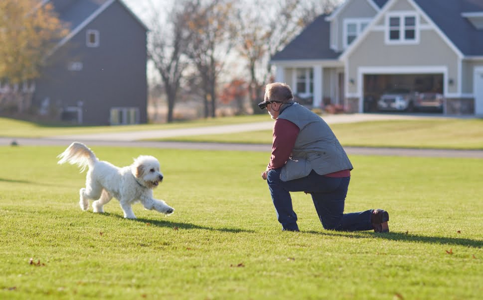 Man playing with dog